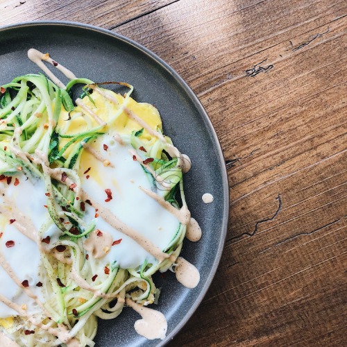 Zoodle Nest