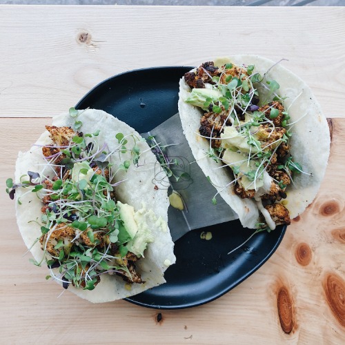 Cauliflower Tacos