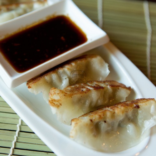 Gyoza